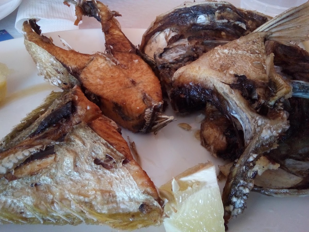 Restaurante Casa Placido 10% Photos 2